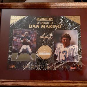 dan marino autographed limited photo in frame nfl